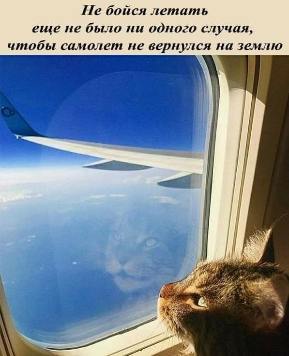 Не бойся летать еще не было ни одного случая чтобы самолет не вернулся на землю