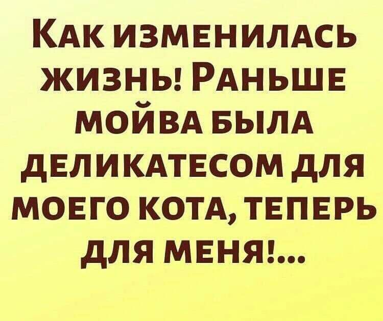 КАк измвнилмь жизны РАНЬШЕ мойвд БЫЛА двликдтвсом для моего котд теперь для мвняг