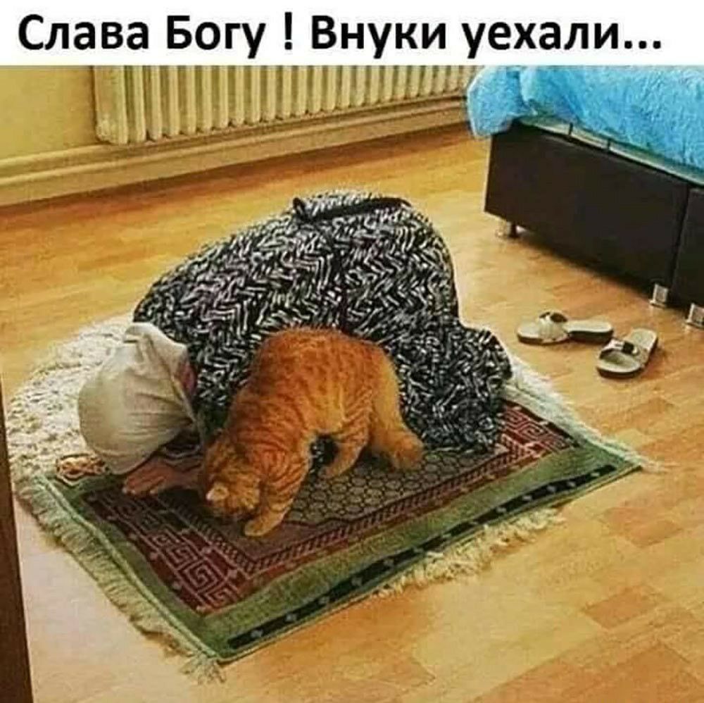 Слава богу ! Внуки уехали...