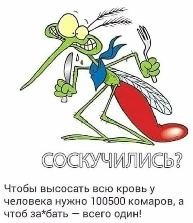 СоскучЪЬ Чтобы высосать всю кровь у человека нужно 100500 комаров а чтоб забать всего один