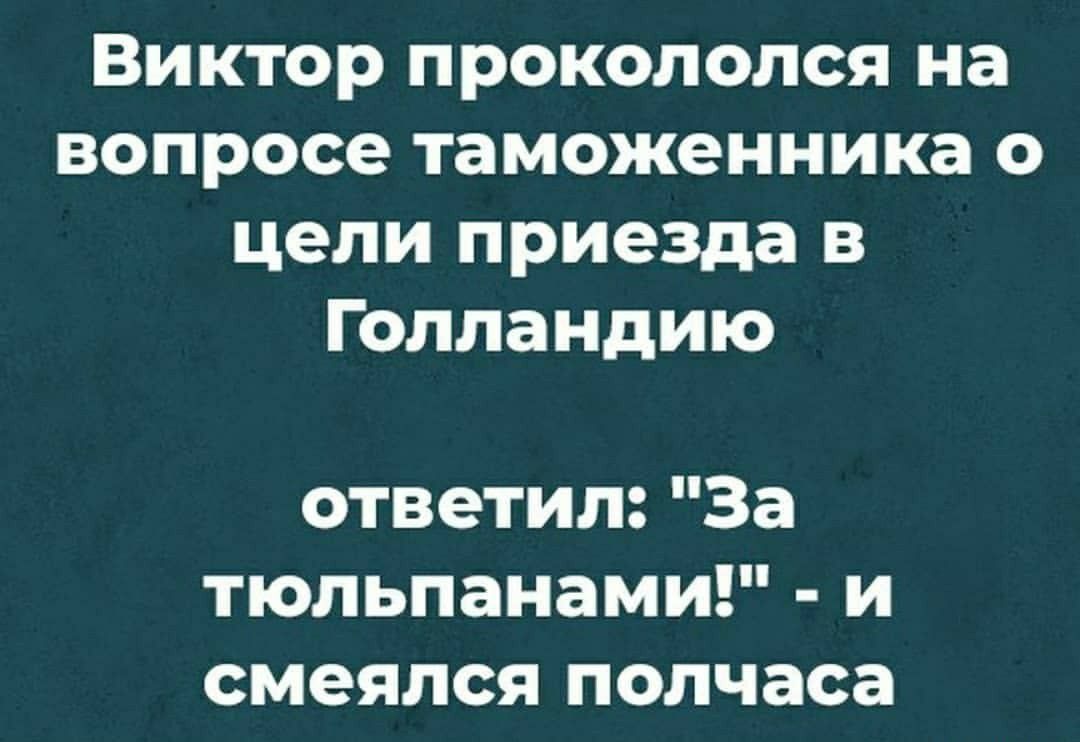 Виктор прокололся на вопросе таможенника о цели приезда в Голландию ответил За тюльпанами и смеялся полчаса