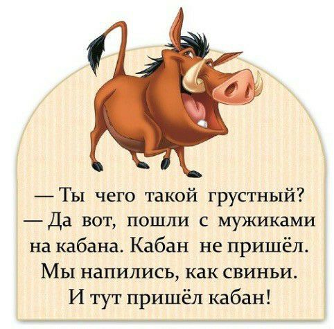 Ты чего такой грустный Да вот пошли с мужиками на кабана Кабан не пришёл МЫ напились как свиньи И тут пришёл кабан