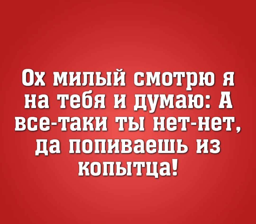 0х мипъіій смитрю я на тебя Ш думаю А да попиваешь НОПЫіГЦЗ