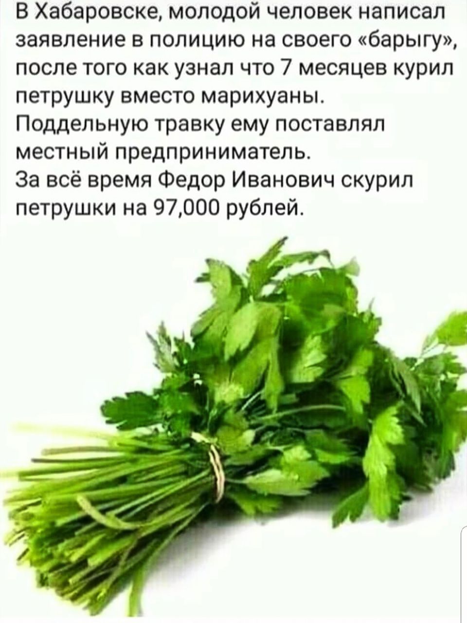 В Хабаровске молодой человек написал заявление в полицию на своего барыгу после того как узнал что 7 месяцев курил петрушку вместо марихуаны Поддельную травку ему поставлял местный предприниматель За всё время Федор Иванович скурил петрушки на 97000 рублей