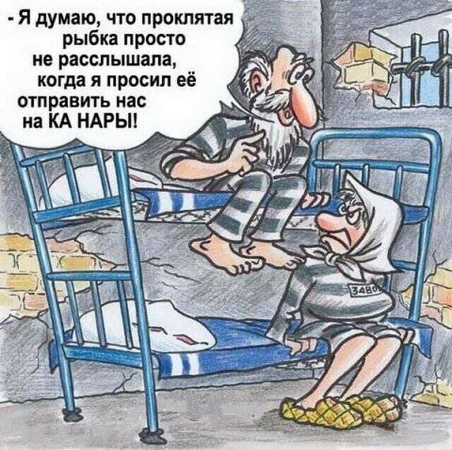 Я думаю что проклятая рыбка просто не расслышала когда я просил её отправить нас на КА НАРЫ