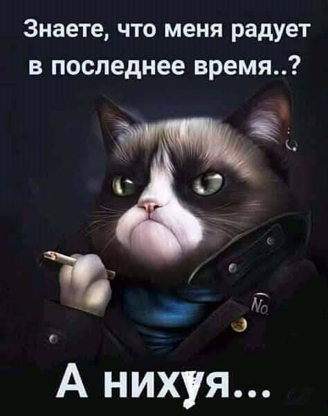 Знаете что меня радует в последнее время А нихуя