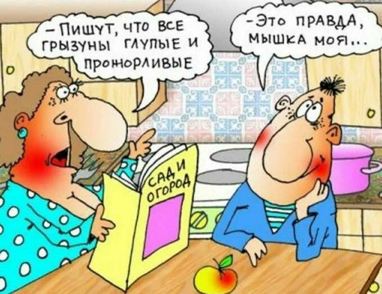 _ ПИШУТ ЧТО ВСЕ ЭТО ПРАВА грызуны глупые и А Я