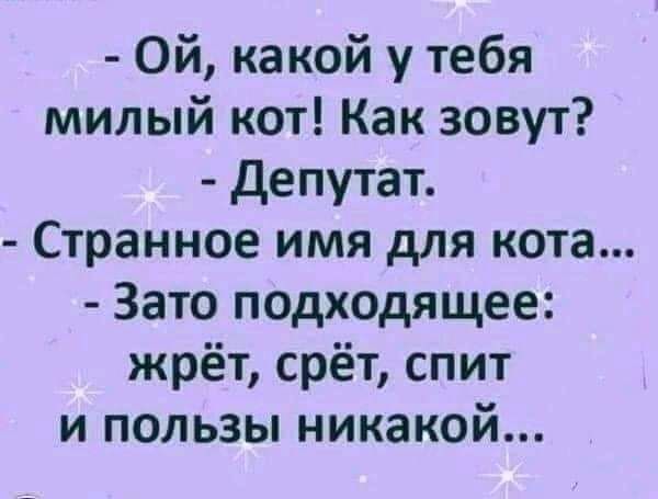 Ой какой у тебя милый кот Как зовут Депутат Странное имя для кота Зато подходящее жрёт срёт спит и пользы никакой