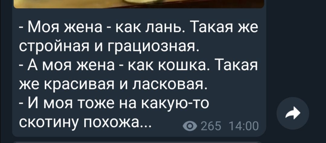 ___ Моя жена как лань Такая же стройная и грациозная А моя жена как кошка Такая же красивая и ласковая И моя тоже на какую то СКОТИНУ похожа 255 1400