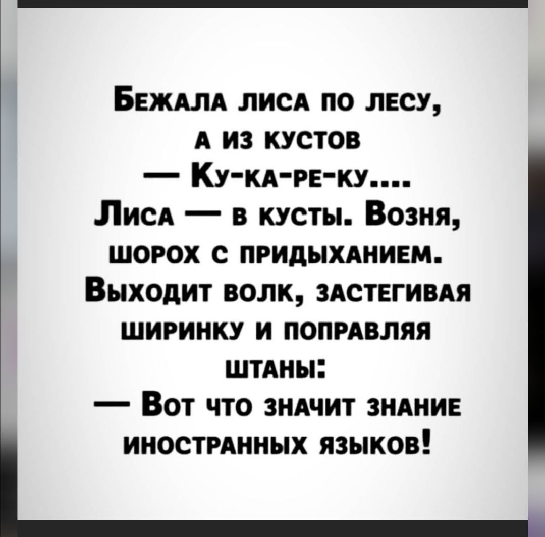 Беждлд ЛИСА по лесу А из кустов Ку кд РЕ ку ЛисА в кусты Возня шорох с придыинием Выходит волк здствгивдя ширинку и попмвляя ШТАНЫ _ ВОТ ЧТО ЗНАЧИТ ЗНАНИЕ ИНОСТРАННЫХ ЯЗЫКОВ