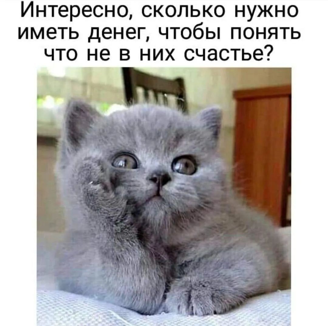 Интересно сколько нужно иметь денег чтобы понять что не в них счастье