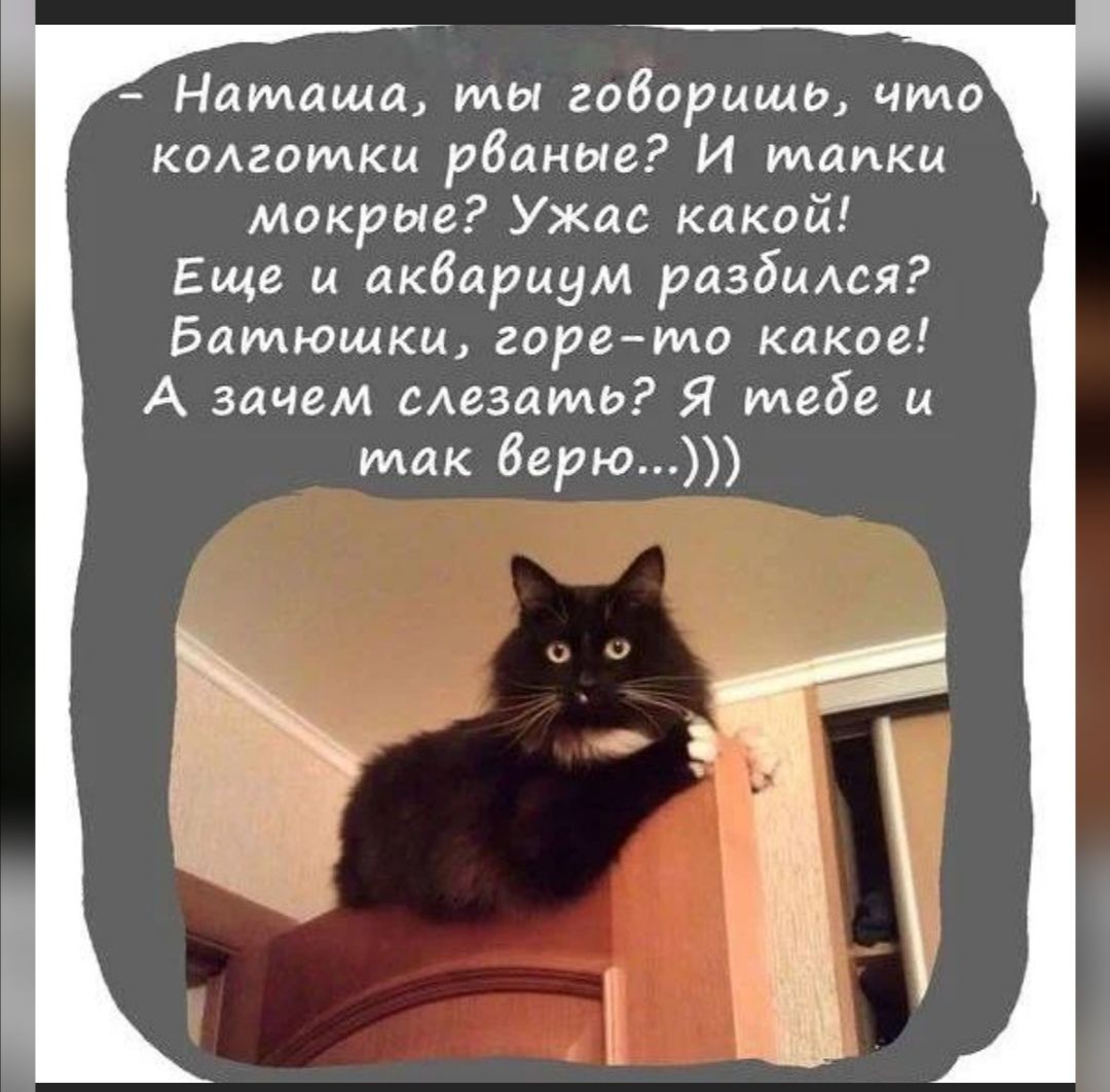 Наташа мы гоборцшо что комоткц рваные И тапки мокрые Ужас какой Еще и аквариум разбился Батюшкц горе мо какое А зачем смазать Я тебе и так 6ерю