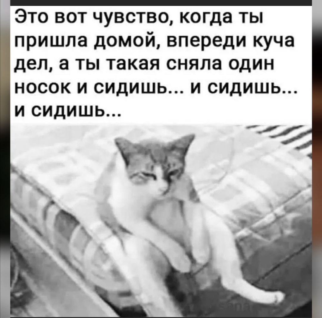 Это вот чувство когда ты пришла домой впереди куча дел а ты такая сняла один НОСОК И СИДИШЬ И СИДИШЬ И СИДИШЬ