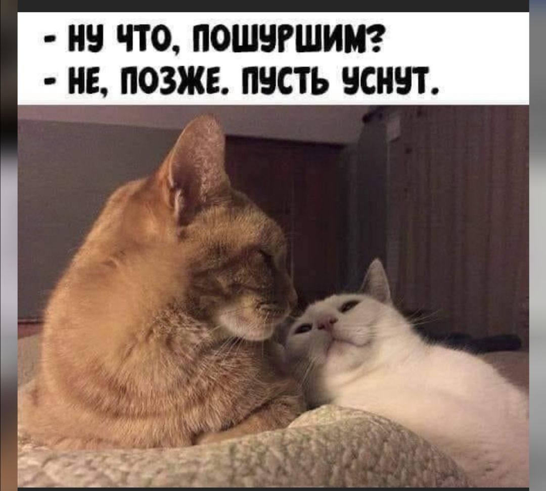 НЧ ЧТО ПОШЧРШИМ НЕ ПОЗЖЕ ПЧСТЪ ЧСНЧТ