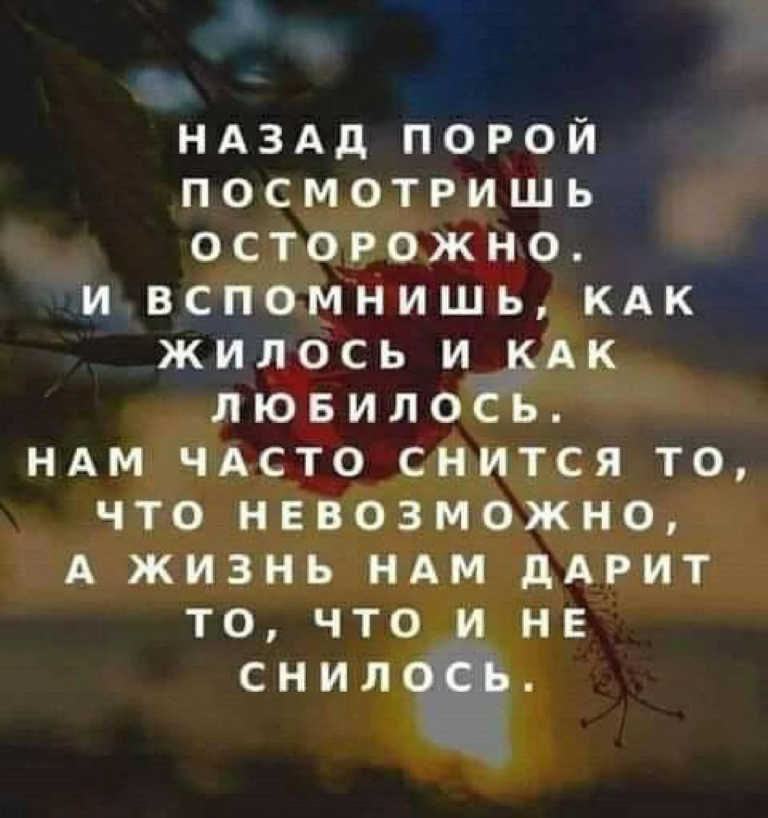 Часто видим. Жизнь порой. Жизнь порою. Порою жизнь нас. Порою жизнь нас встряхивает круто стихи.