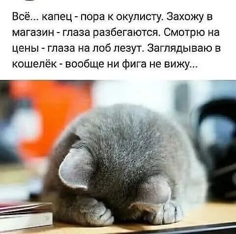 Всё капец пора окулисту Захожу в магазин глаза разбегаются Смотрю на цены глаза на лоб лезут Заглядываю в кошелёк вообще ни фига не вижу