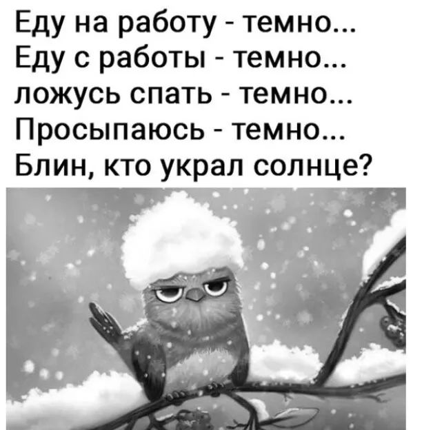 Еду на работу темно Еду с работы темно ложусь спать темно Просыпаюсь темно Блин кто украл солнце __д