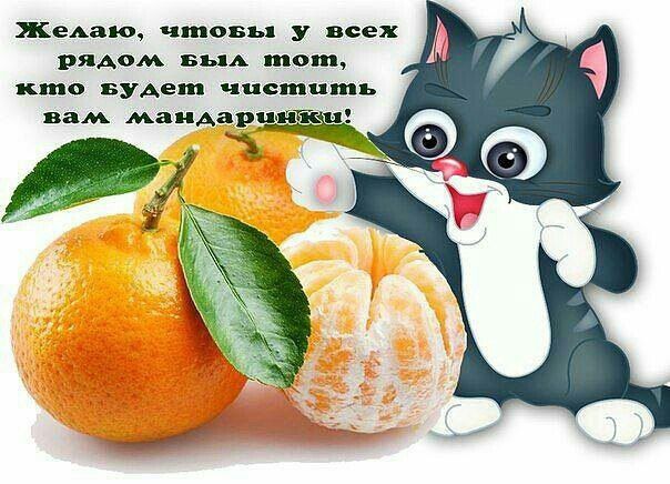 ЖеАаю чтовья у всех рядом вы тот кто Будеш чистить вам маидарп