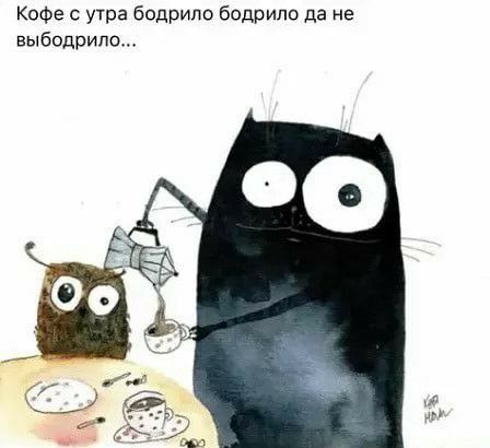 Кофе с утра бодрит бодрипо да не выбодрипо