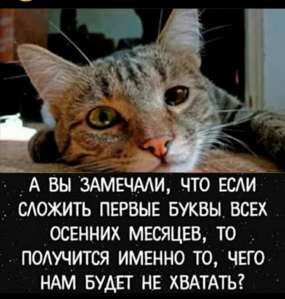 А вы 3АМЕЧААИ что ЕсАи можить первые БУКВЫ всех _осенних месяцев то подучится именно точего НАМ Будет не ХВАТАТЬ