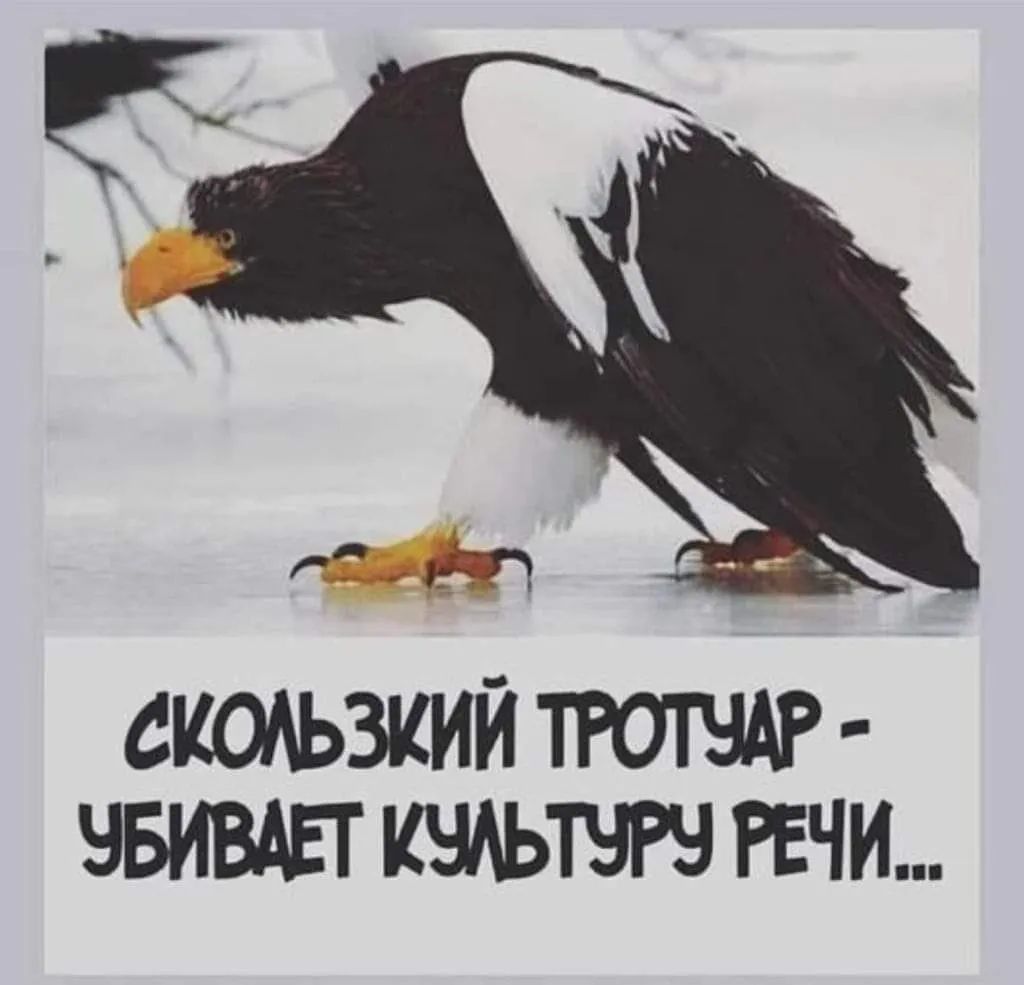 Скользкий тротуар  убивает культуру речи...