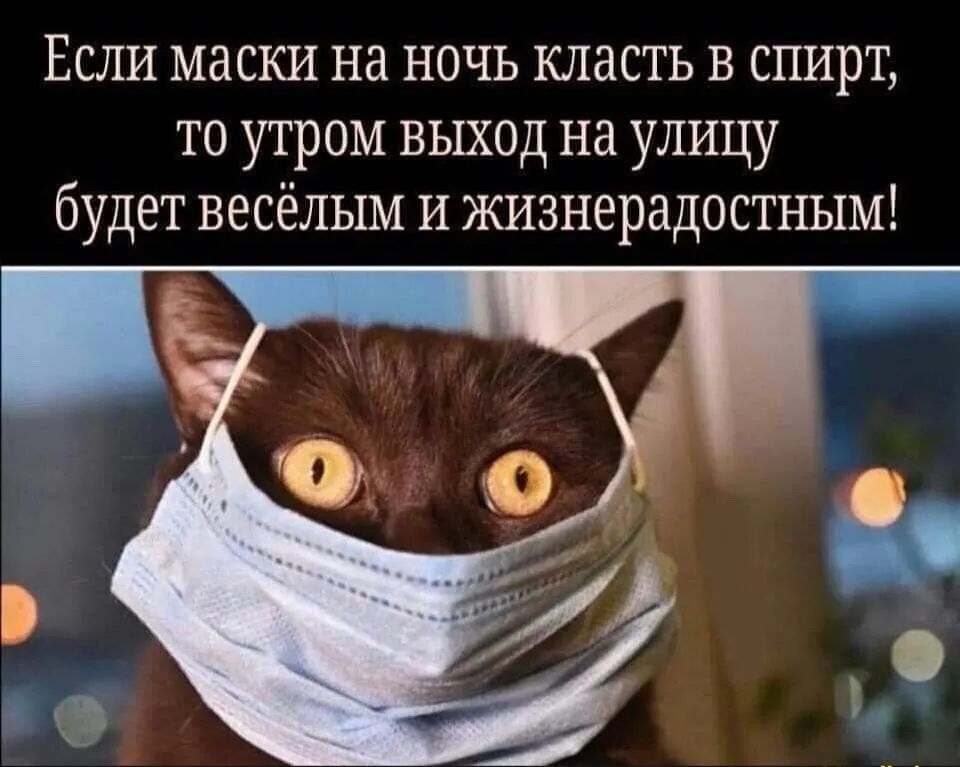 Если маски на ночь класть в спирт то утром выход на улицу будет весёлым и жизнерадостным