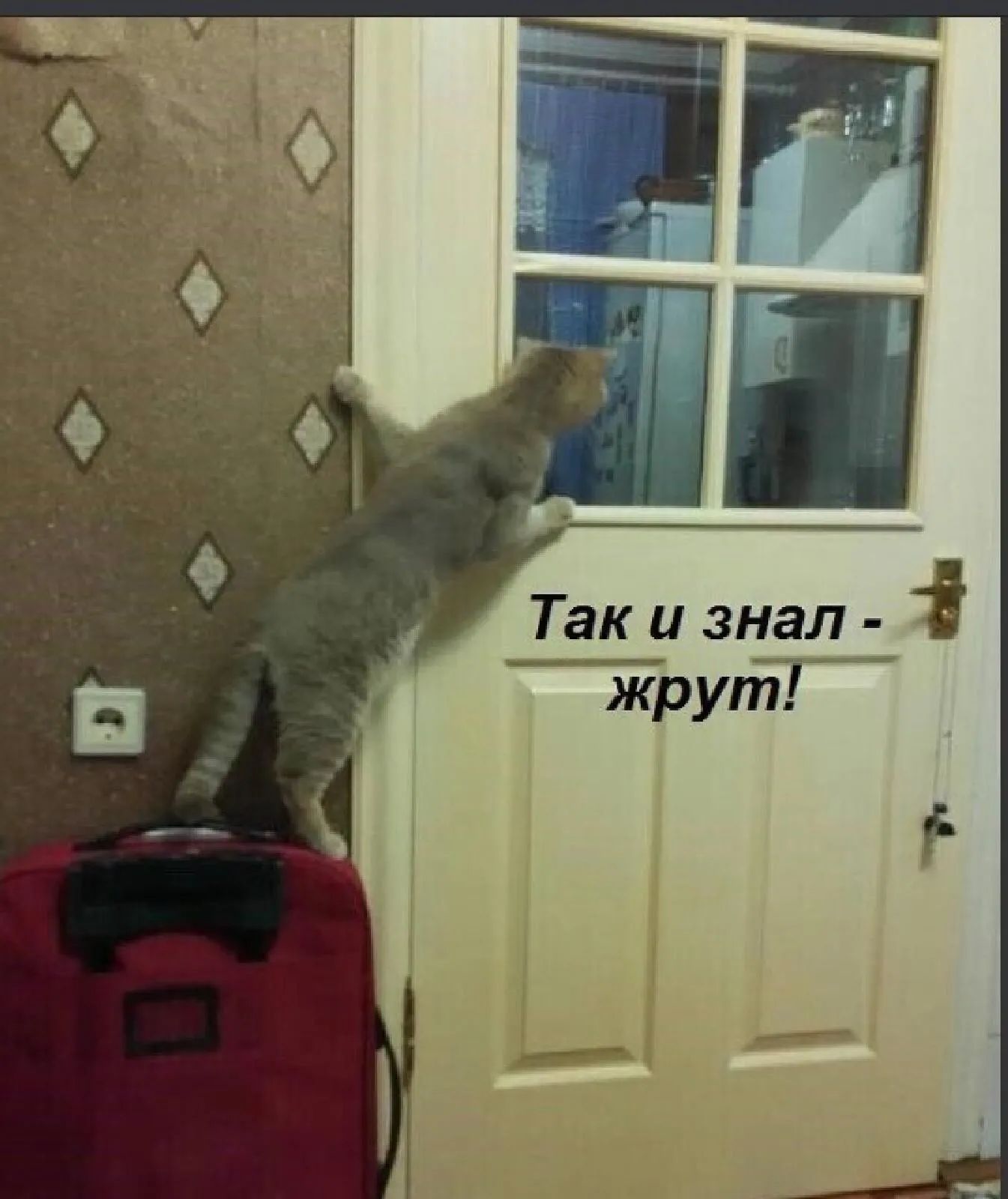 Так и знал _ ШЁругб
