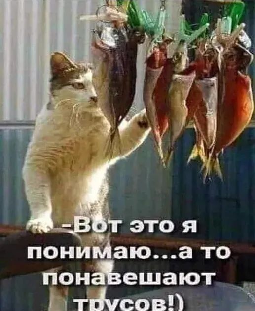 это я пониЁюа то пон ешают Ь 003 Ё