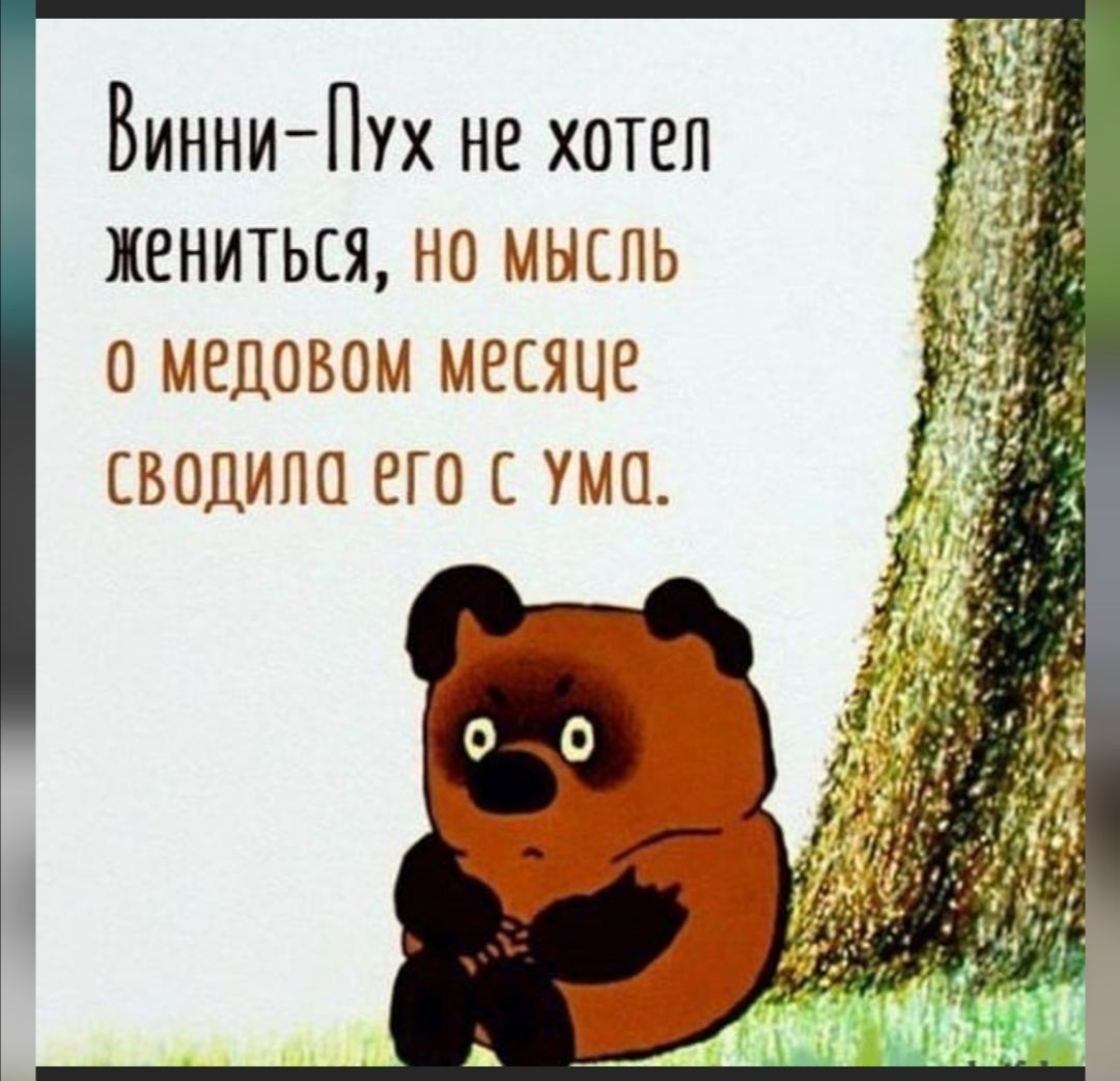 Винни Пух не хотел жениться но мысль медовом месяце сводило его с ума