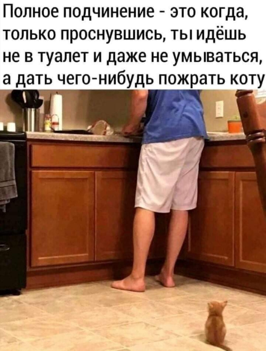 Полное подчинение это когда только проснувшись ты идёшь не в туалет и даже не умываться