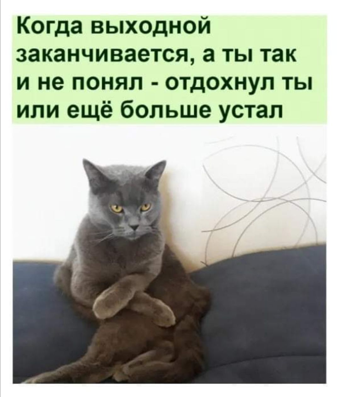 Когда выходной заканчивается а ты так и не понял отдохнул ты или ещё больше устал