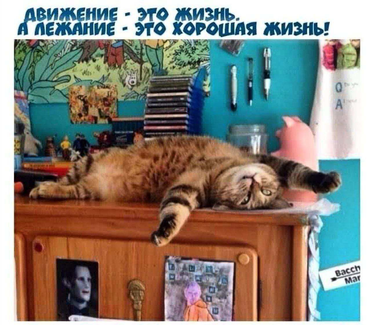 движение это жизнь пежнние это хорошдя жизнь
