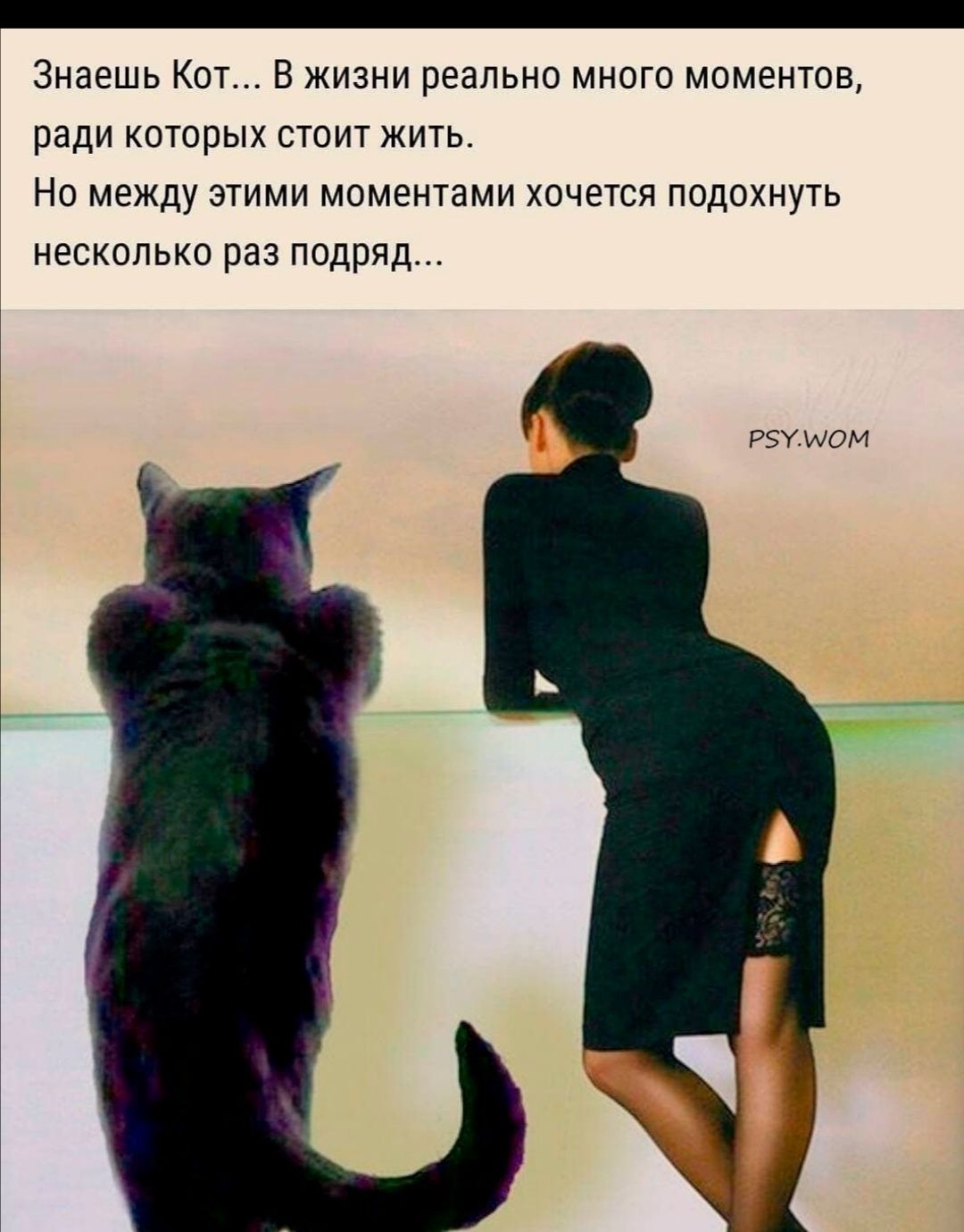 _ Знаешь Кот В жизни реально много моментов ради которых стоит жить НО МЕЖДУ ЭТИМИ МОМ8НТ8МИ ХОЧЕТСЯ ПОДОХНУТЬ НЕСКОЛЬКО раз подряд РЗУМОМ