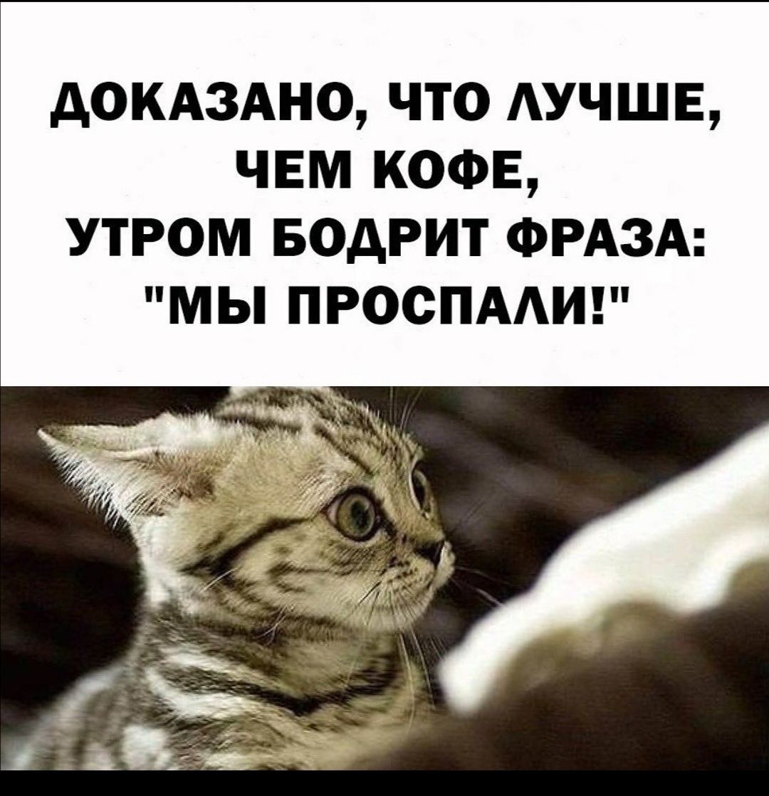 АОКАЗАНО что АУЧШЕ чвм КОФЕ утром БОАРИТ ФРАЗА мы проспмиг