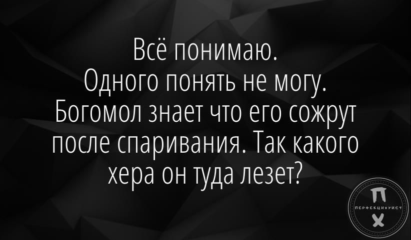 Всё понимаю Одного понять не могу Богомол знает что его сожрут после спаривания Так какого хера он Пда лезет дц КШ