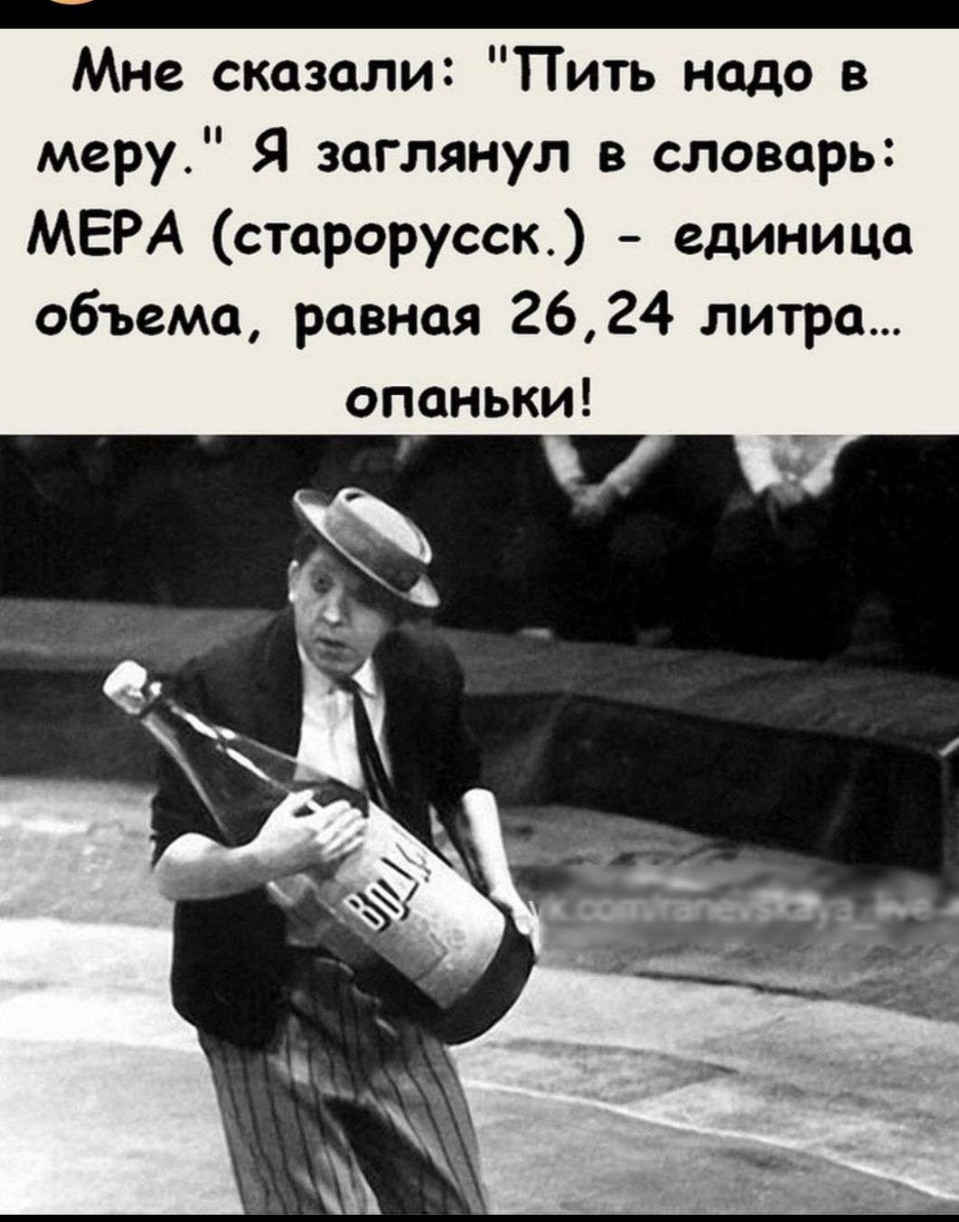 _ Мне сказали Пить надо в меру Я заглянул в словарь МЕРА старорусск единица объема равная 2624 литра опаньки