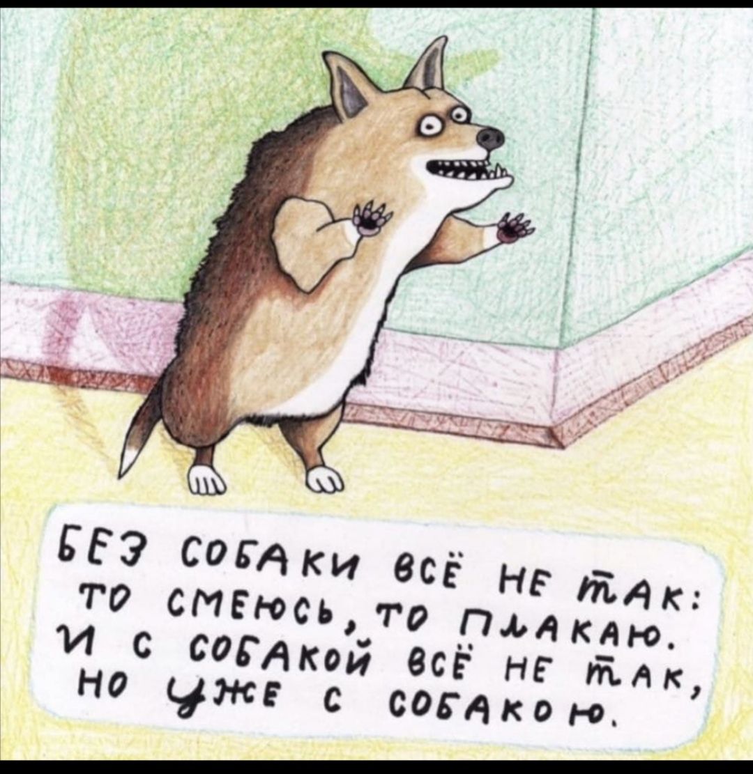 Ёеэ соба ки 6сё не так: 7е пмакаю. М с собакой всё не млк, но уже с соб ако о.