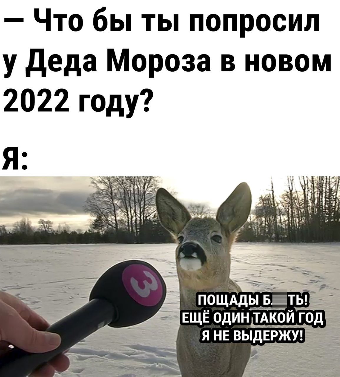 Приколы 2022 картинки