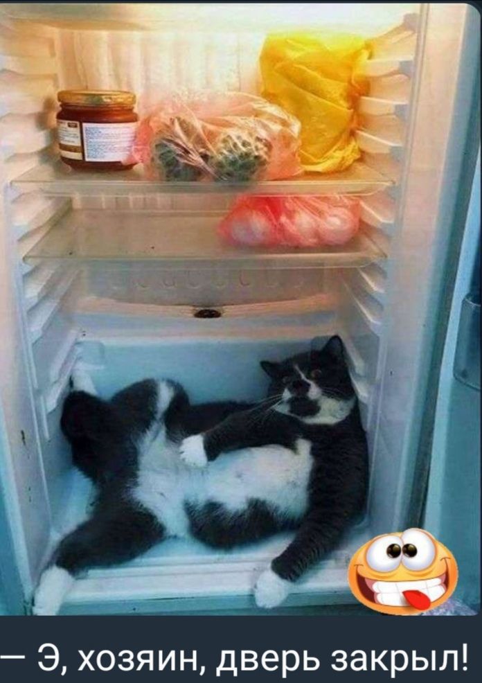 Э хозяин дверь закрыл
