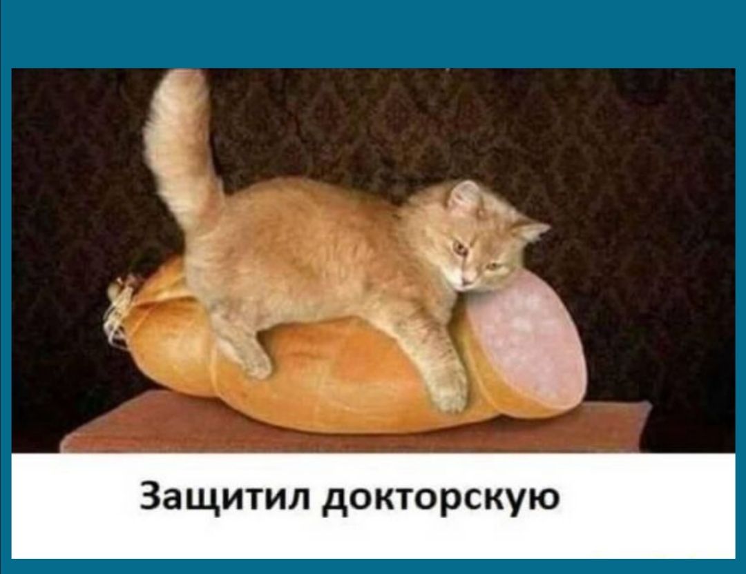 Защитил докторскую