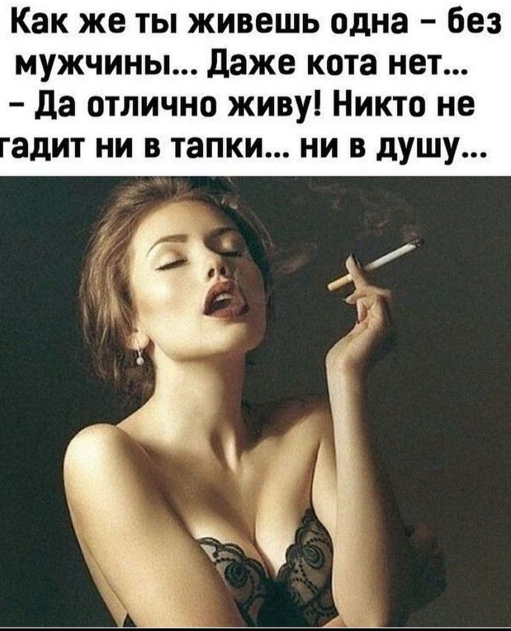 Как же ты живешь одна без мужчины Даже кота нет да отлично живу Никто не адит ни в тапки ни в душу