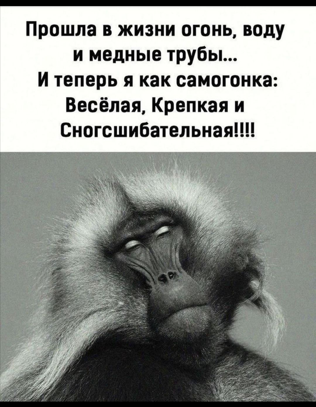 Прошла в жизни огонь воду и медные трубы И теперь я как самогонка Весёлая Крепкая и Сногсшибательная