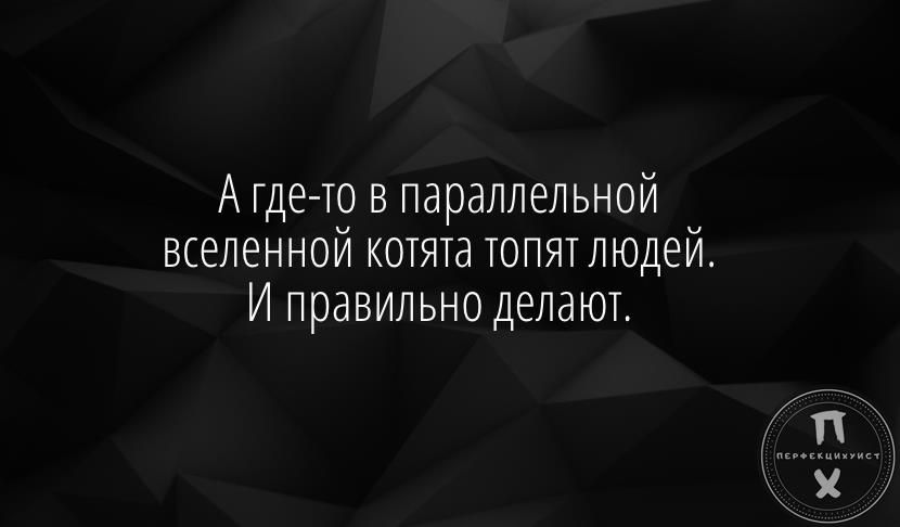 А где то в параллельной вселенной котята толятлюдеи И правильно делают