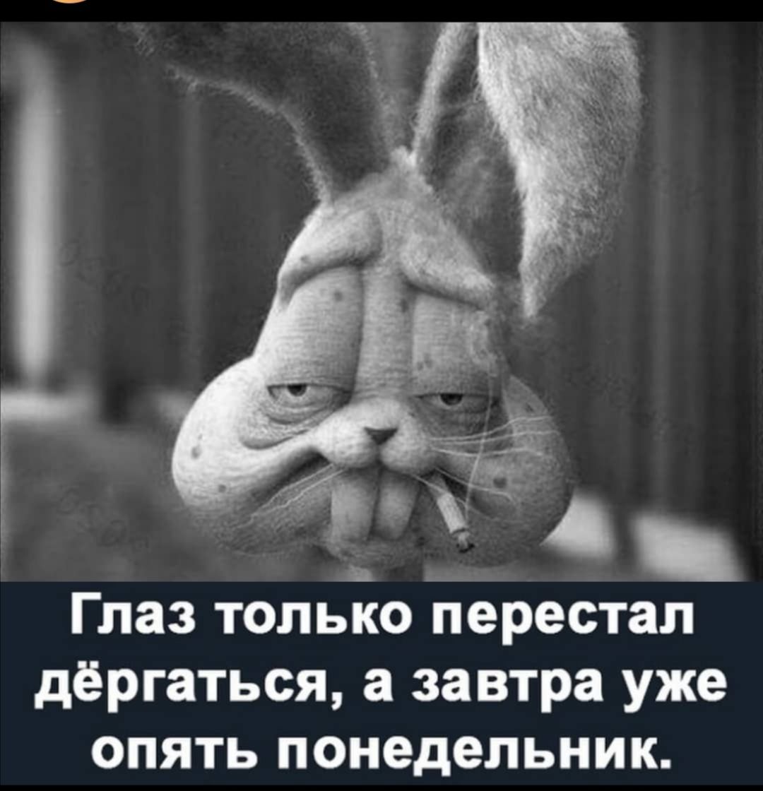 Глаз только перестал дёргаться а завтра уже опять понедельник