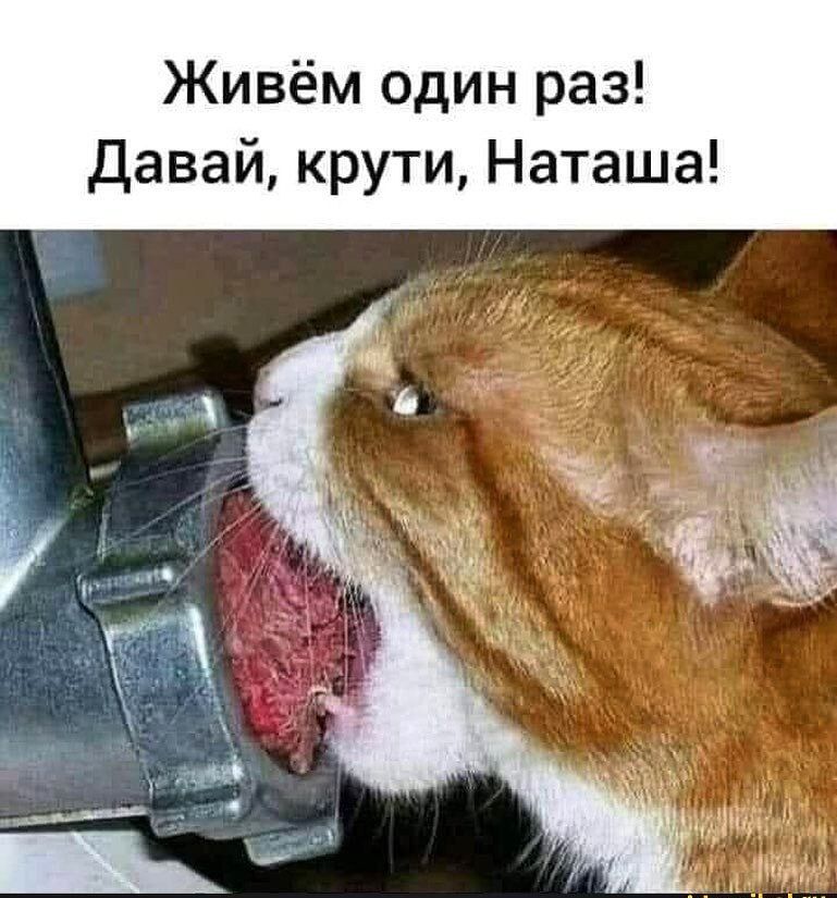 Живём один раз давай крути Наташа