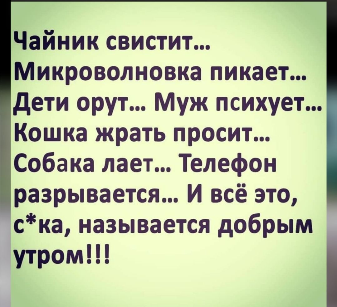 Чайник свистит Микроволновка пикает дети орут Муж психует Кошка жрать просит  Собака лает Телефон разрывается И всё это ска называется добрым утром -  выпуск №1183283