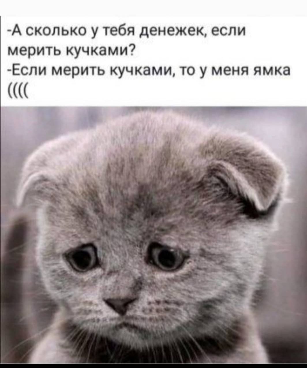 А сколько у тебя денежек если мерить кучками Если мерить кучками то у меня ямка _ кг