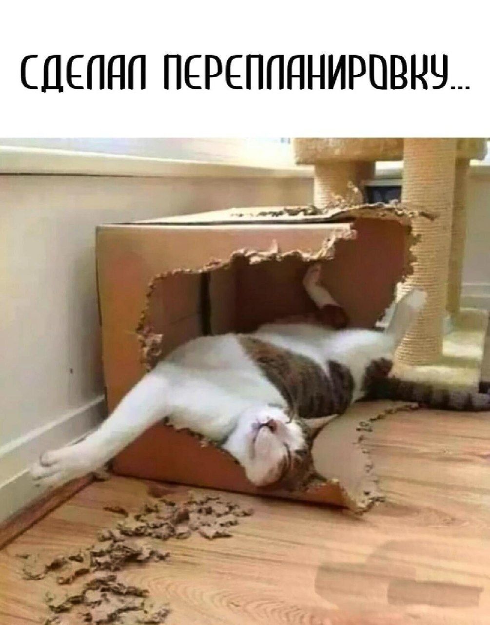 СЦЕППП ПЕРЕПЛПНИРПВНЧ