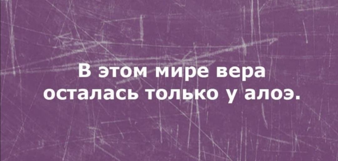 В этЪм миіре вера осталась только у алоэ