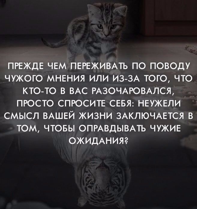 ПРЕЖДЕ ЧЕМ ПЕРЕЖИВАТЬ ПО ПОВОДУ ЧУЖОГО МНЕНИЯ ИЛИ ИЗЗА ТОГО ЧТО КТО ТО В ВАС РАЗОЧАРОВАЛСЯ ПРОСТО СПРОСИТЕ СЕБЯ НЕУЖЕЛИ СМЫСЛ ВАШЕЙ ЖИЗНИ ЗАКЛЮЧАЕТСЯ В ТОМ ЧТОБЫ ОПРАВДЫВАТЬ ЧУЖИЕ ОЖИДАНИЯЗ